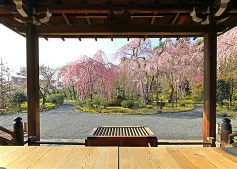 天竺山金龍寺|京都・嵐山「天龍寺」ガイド！美しい庭園や龍の天井画など見ど。